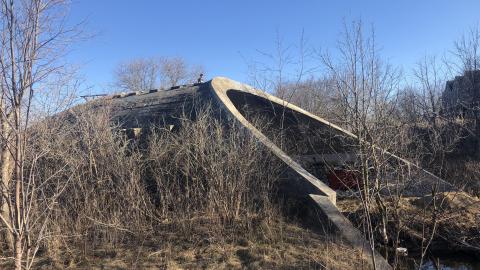 Photo from Youngins on the Arch