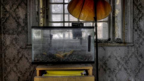 May 2019 - Collages10.jpg