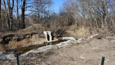 Another One Bites the Dust - DSC_2146.JPG