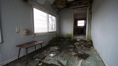 Tip Toe Through The Cobwebs - Feb 2017 - DSC_0851.jpg