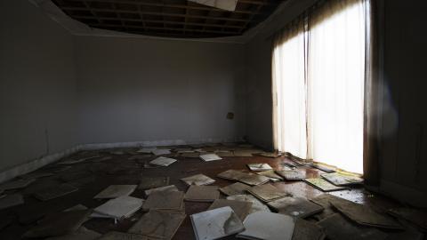 Tip Toe Through The Cobwebs - Feb 2017 - DSC_0852.jpg