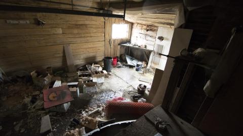 Tip Toe Through The Cobwebs - Feb 2017 - DSC_0854.jpg