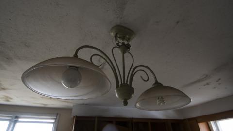 Tip Toe Through The Cobwebs - Feb 2017 - DSC_0856.jpg