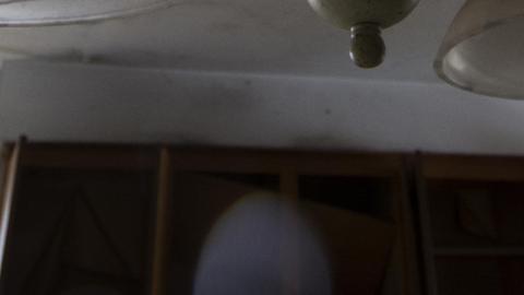 Tip Toe Through The Cobwebs - Feb 2017 - DSC_0856-1.jpg