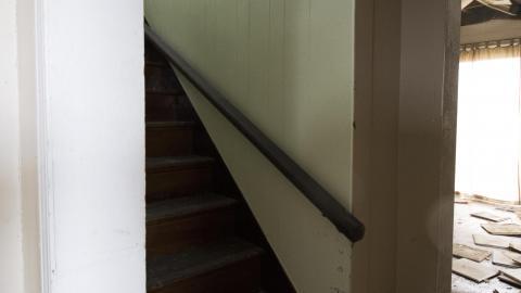 Tip Toe Through The Cobwebs - Feb 2017 - DSC_0857.jpg