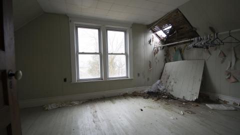 Tip Toe Through The Cobwebs - Feb 2017 - DSC_0859.jpg