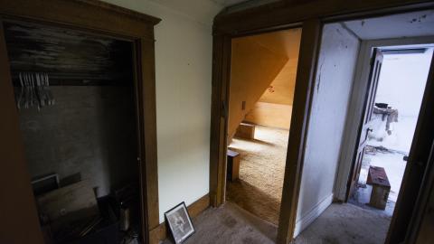 Tip Toe Through The Cobwebs - Feb 2017 - DSC_0861.jpg