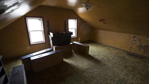 Tip Toe Through The Cobwebs - Feb 2017 - DSC_0862.jpg