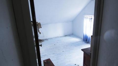 Tip Toe Through The Cobwebs - Feb 2017 - DSC_0864.jpg