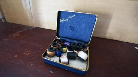 Tip Toe Through The Cobwebs - Feb 2017 - DSC_0866.jpg