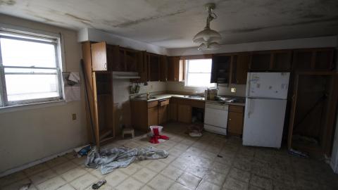 Tip Toe Through The Cobwebs - Feb 2017 - DSC_0870.jpg