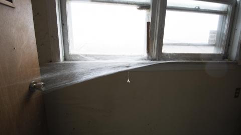 Tip Toe Through The Cobwebs - Feb 2017 - DSC_0871.jpg