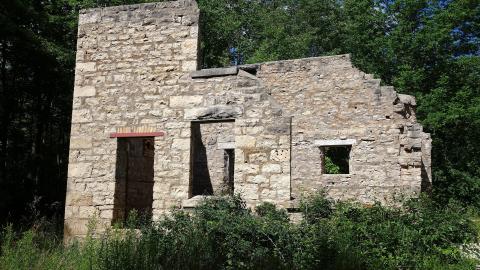 Spirit Rock July '20 - DSC07974.JPG