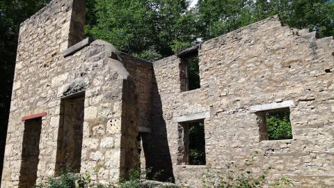 Spirit Rock July '20 - DSC07976.JPG