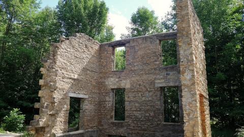 Spirit Rock July '20 - DSC07978.JPG