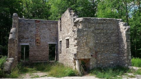 Photo from Spirit Rock July '20