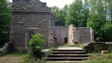 Photo from Spirit Rock July '20