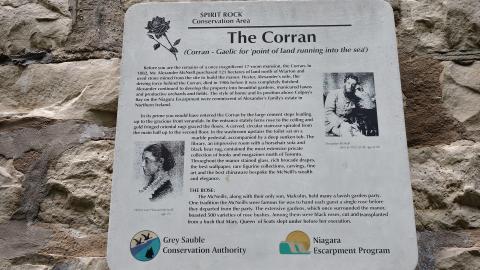 Spirit Rock July '20 - DSC07995.JPG