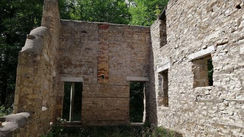 Spirit Rock July '20 - DSC08001.JPG