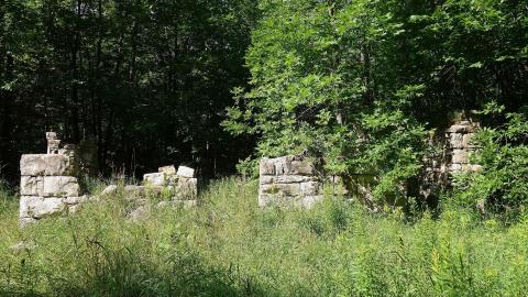 Spirit Rock July '20 - DSC08031.JPG