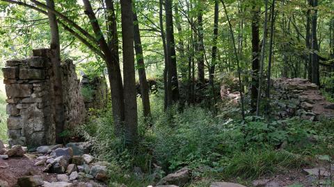 Spirit Rock July '20 - DSC08035.JPG