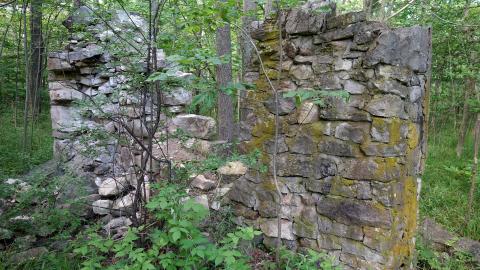 Spirit Rock July '20 - DSC08038.JPG