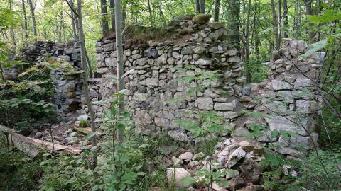 Spirit Rock July '20 - DSC08040.JPG