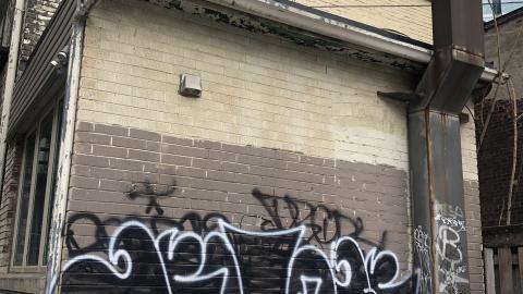 Spring - 5FED5594-3B13-43D4-BD51-6CBEA32BEEFD.jpeg