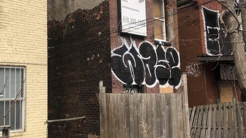 Spring - F840E9C6-C413-426E-91BE-484269735A76.jpeg