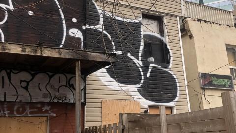 Spring - 29CAA8B1-1469-4A8F-9E73-DBD38A94F00F.jpeg