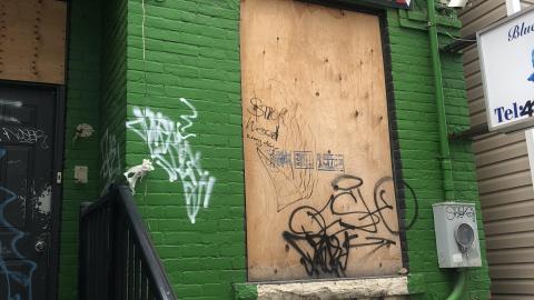 Spring - 31CD0A53-C7E7-462B-B4A2-CF34D5F56492.jpeg