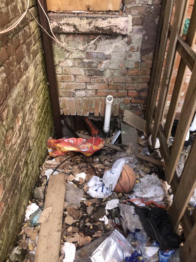 Elm Street Cluster photo 5