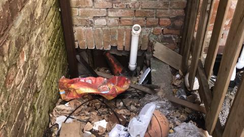 Elm Street Cluster photo 5