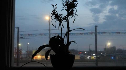 Dont Slip Yo - IMG_9999.JPG