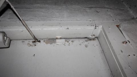 Dont Slip Yo - IMG_9987.JPG