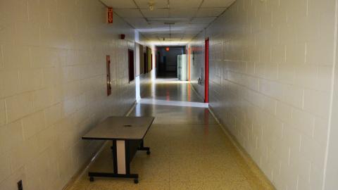 Home Of The Gators - July 2014 - 13.jpg