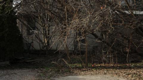 Adrenaline, Then Gold, And The Rainbow - IMG_0274.JPG