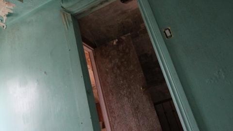 Adrenaline, Then Gold, And The Rainbow - IMG_0253.JPG