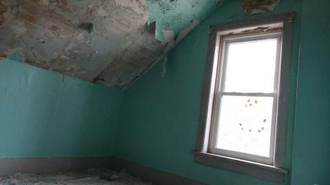 Adrenaline, Then Gold, And The Rainbow - IMG_0249.JPG