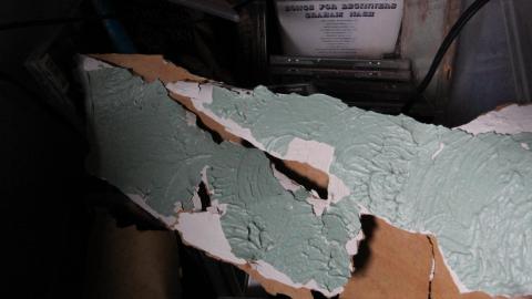 Adrenaline, Then Gold, And The Rainbow - IMG_0228.JPG