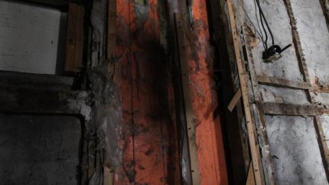 Adrenaline, Then Gold, And The Rainbow - IMG_0225.JPG