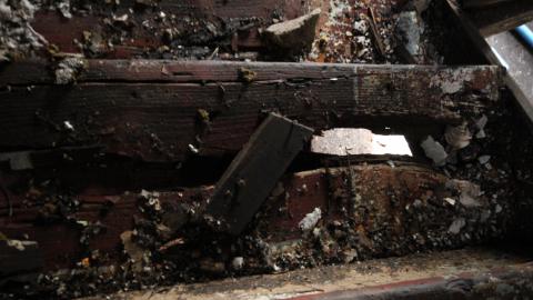 Adrenaline, Then Gold, And The Rainbow - IMG_0222.JPG