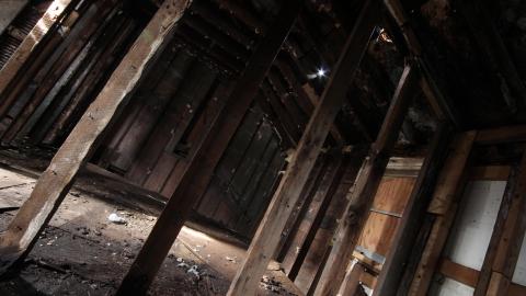 Adrenaline, Then Gold, And The Rainbow - IMG_0220.JPG