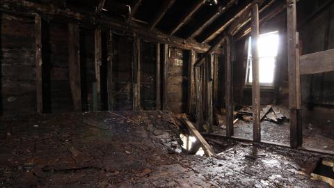 Adrenaline, Then Gold, And The Rainbow - IMG_0218.JPG