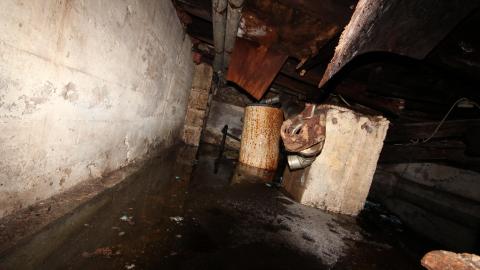 Adrenaline, Then Gold, And The Rainbow - IMG_0214.JPG