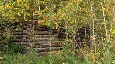 Gallery - Old-Hastings-Colonization-Rd.4.jpg