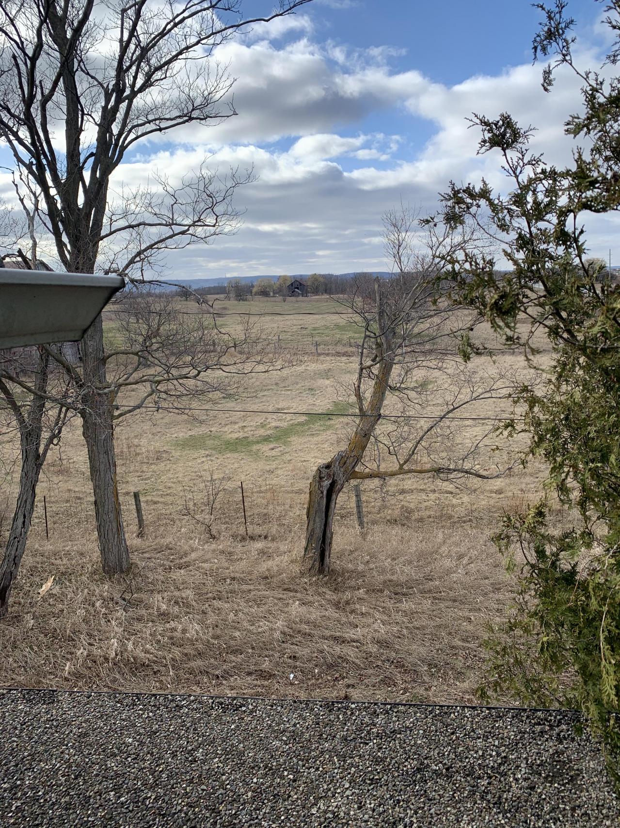 Tremaine Road Farm House March 2021 -3 years later - IMG_2026.JPG