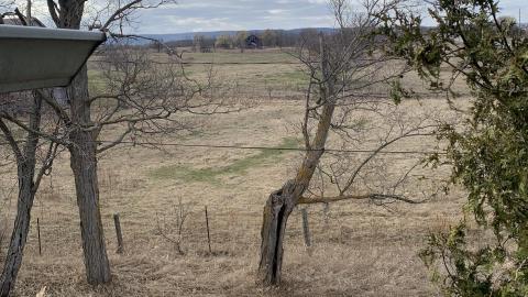 Tremaine Road Farm House March 2021 -3 years later - IMG_2026.JPG