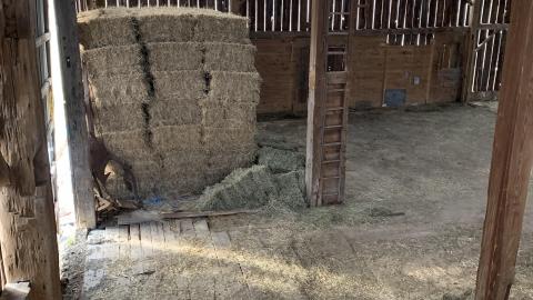 Tremaine Road Farm House March 2021 -3 years later - IMG_2042.JPG