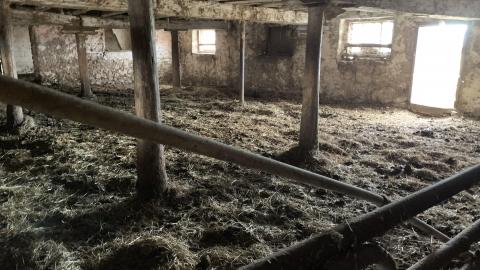 Tremaine Road Farm House March 2021 -3 years later - IMG_2049.JPG